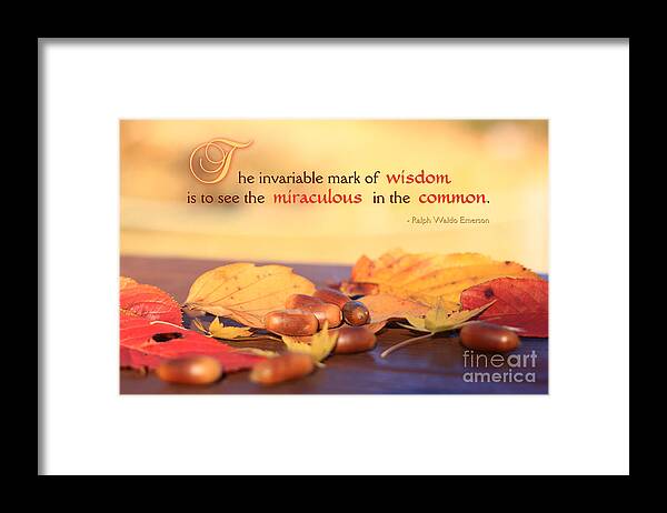Fall Scene Framed Print featuring the photograph Miraculous in the Common on a Fine Autumn Day by Beverly Claire Kaiya