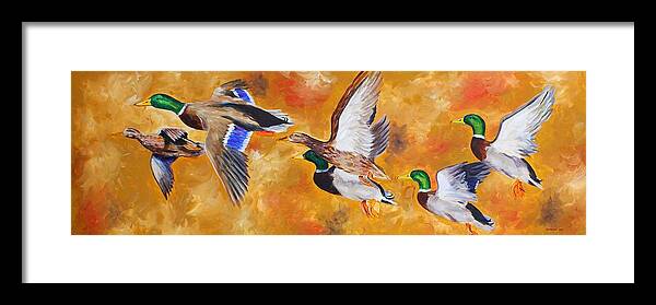 Mallards Framed Print featuring the painting Mississippi Delta Mallards by Karl Wagner