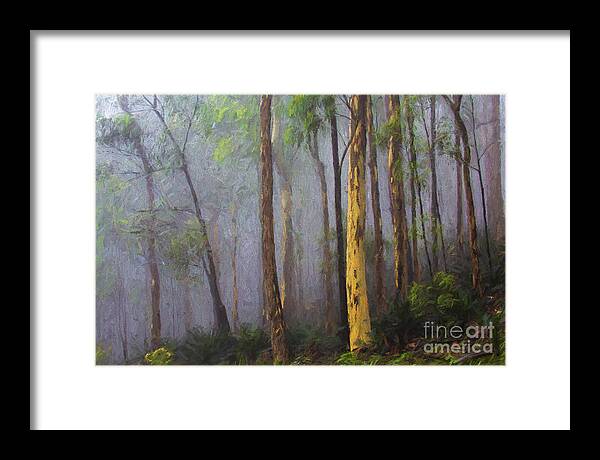 Mist Framed Print featuring the photograph Mist in forest by Sheila Smart Fine Art Photography