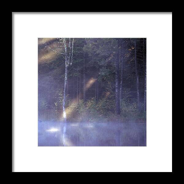 Nature Framed Print featuring the photograph Misty Moody Morning by Laura Tucker