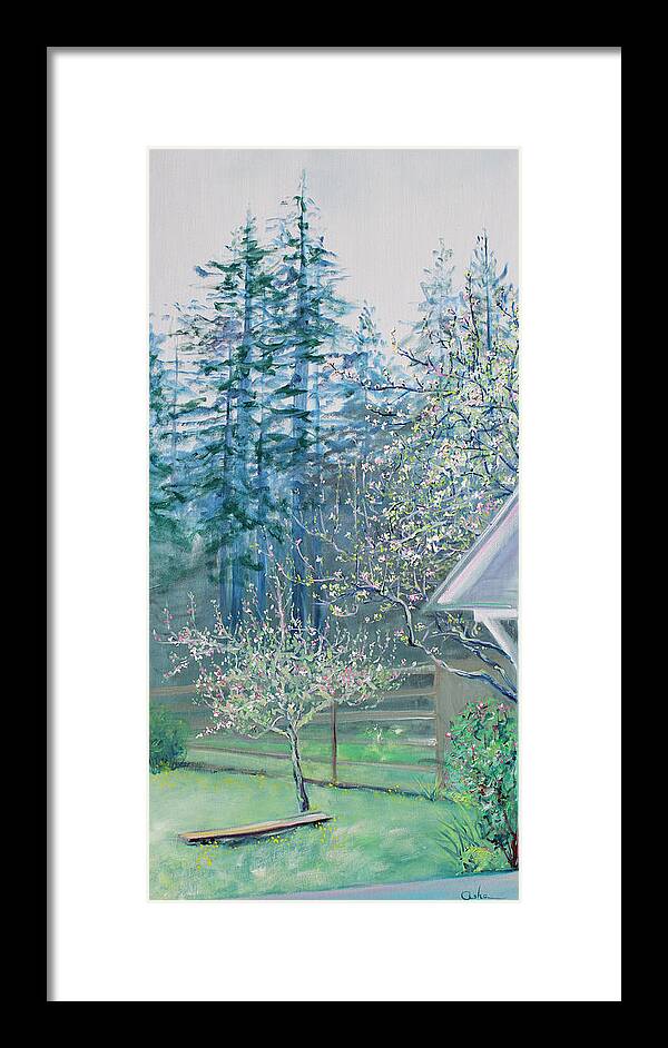 Garden Painting Framed Print featuring the painting Misty Morning with Apple Blossoms and Redwoods by Asha Carolyn Young