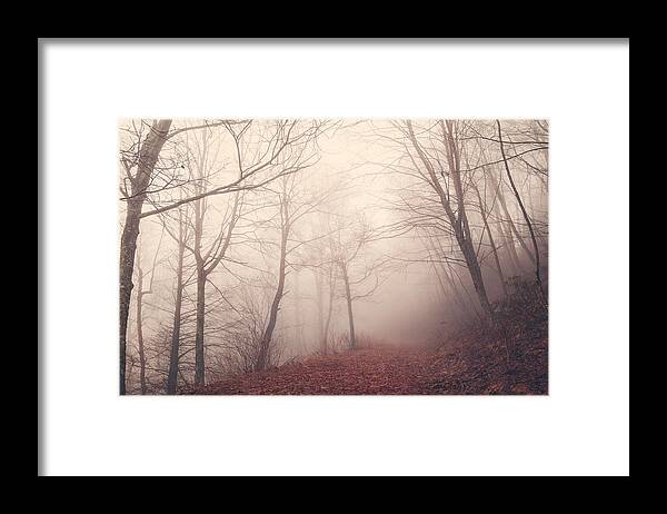 Great Smoky Mountains Framed Print featuring the photograph Misty Path by Maria Robinson