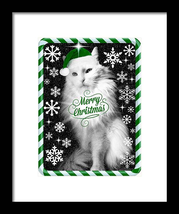 Christmas Framed Print featuring the photograph Mod Cards - I'm A Star Baby I'm A Christmas Star III - Merry Christmas by Aurelio Zucco