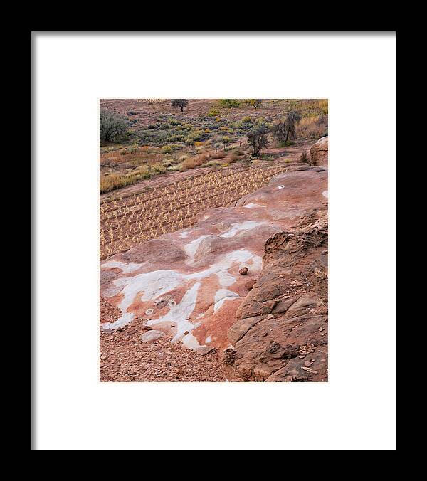 Arizona Framed Print featuring the photograph Moenkopi Corn by Tom Daniel