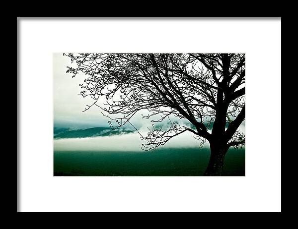 Tree Framed Print featuring the photograph Moment by HweeYen Ong