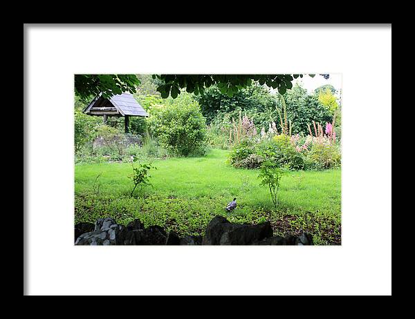 Monasterboice Framed Print featuring the photograph Monasterboice by Pat Moore
