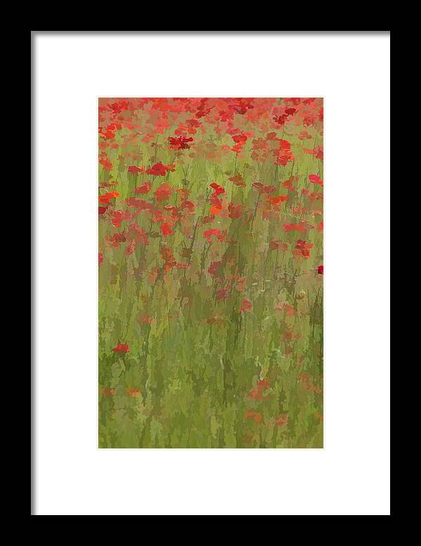Abstract Framed Print featuring the photograph Monet Poppies II by David Letts
