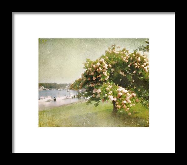 Landscape Framed Print featuring the photograph Monet's Tree by Karen Lynch
