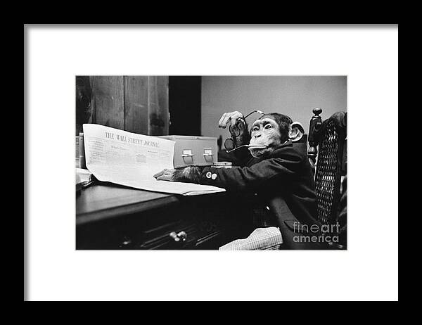 Wall Street Journal Framed Print featuring the photograph Monkey Business by Bruce Buchenholz