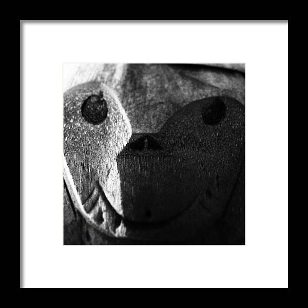 Comment Framed Print featuring the photograph Monkey Face by Jonathan Palmer