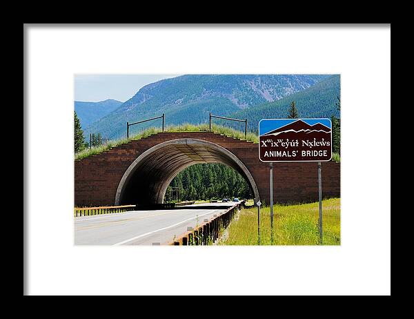 Landscape Framed Print featuring the photograph Montana Highway - #2 Animals' Bridge by Kae Cheatham