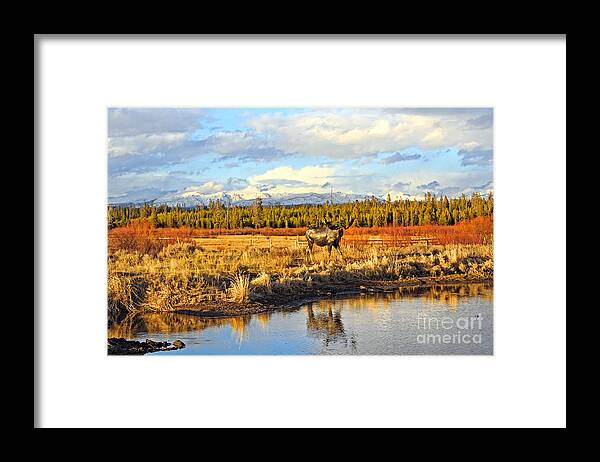 Montana Framed Print featuring the photograph Montana Rurual Landscape by Charline Xia