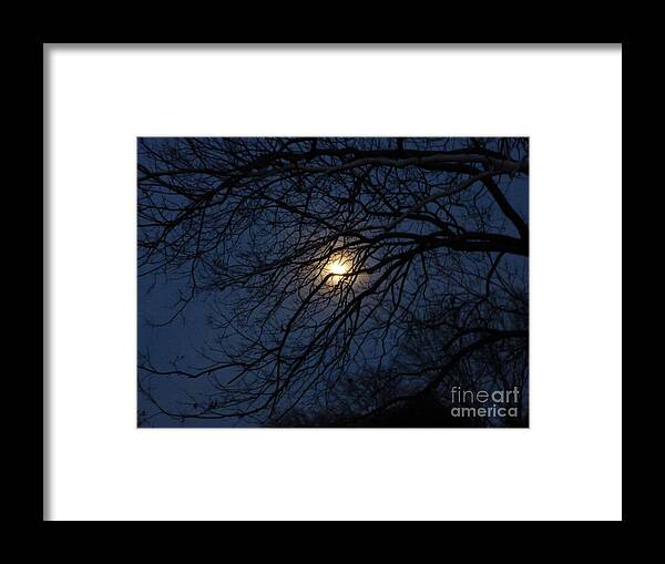 Autumn Framed Print featuring the photograph Moon Dance by Angela Wright