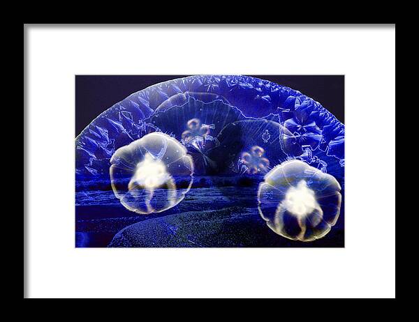 Moon Jellies Framed Print featuring the digital art Moon Jellies by Lisa Yount