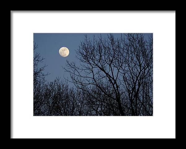 Blue Framed Print featuring the photograph Moon Over Trees by Larry Bohlin