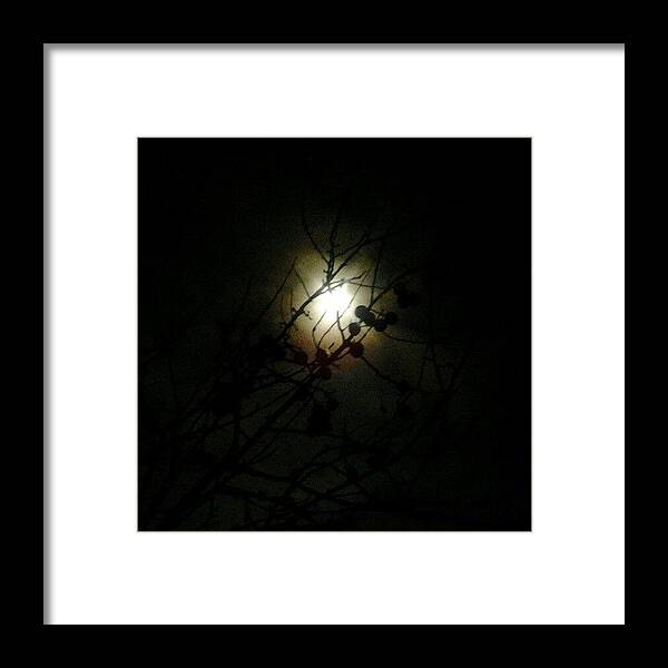  Framed Print featuring the photograph Moonlight through the apple tree by Aase Andersson