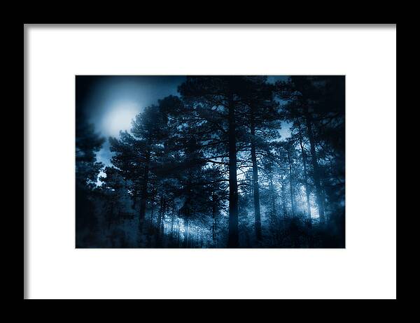 Landscape Framed Print featuring the photograph Moonlit Night by Douglas MooreZart