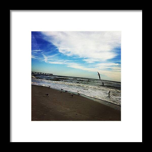 Framed Print featuring the photograph Morning 5.5 Attacked By Seagulls by Keller Walling