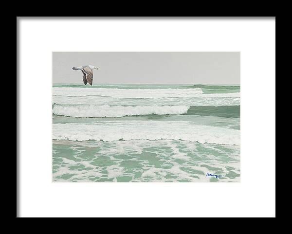 Beach Framed Print featuring the painting Morning At Pomponio Shore Patrol by Michael Putnam