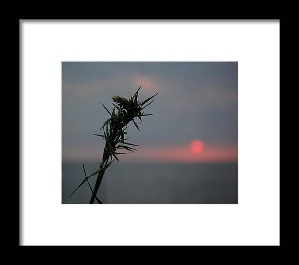 Sunrise Framed Print featuring the photograph Morning Blade by Leticia Latocki