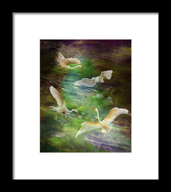 Herons Framed Print featuring the photograph Morning Fishing by Melinda Hughes-Berland