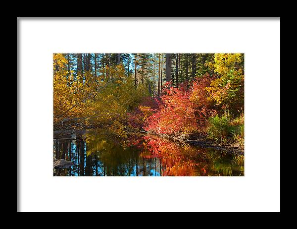 Landscape Framed Print featuring the photograph Morning Glow by Jonathan Nguyen