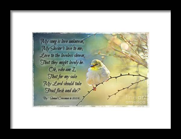 Goldfinch Framed Print featuring the photograph Morning Goldfinch with verse II by Debbie Portwood
