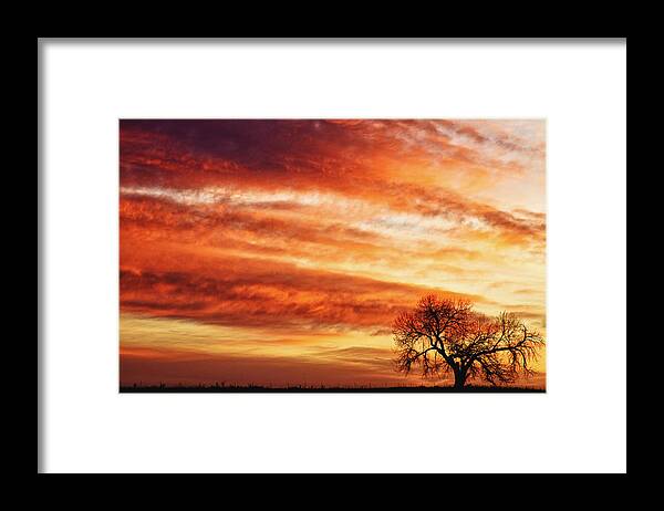 Morning Framed Print featuring the photograph Morning Has Broken Like the First Dawning Country Landscape by James BO Insogna