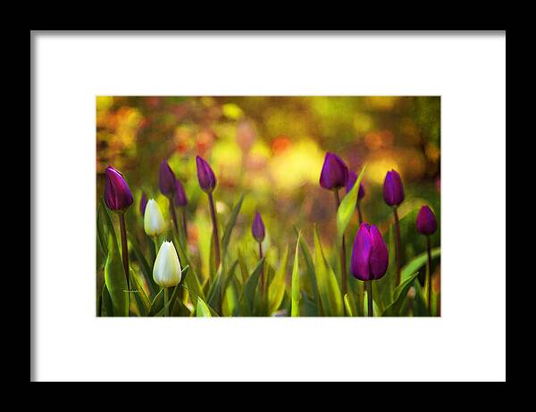 Floral Framed Print featuring the photograph Morning Has Broken by Theresa Tahara