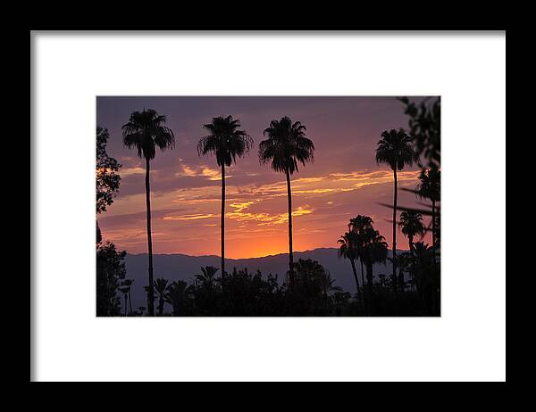 Natures Coloring Book Framed Print featuring the photograph Morning Magic by Jay Milo