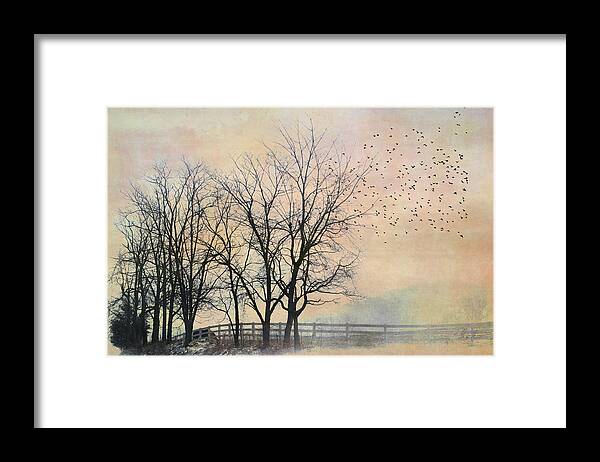 Fog Framed Print featuring the photograph Morning Magic by Kathy Jennings
