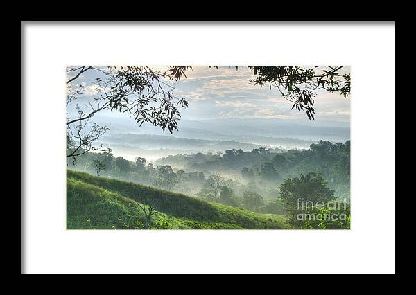 Landscape Framed Print featuring the photograph Morning Mist by Heiko Koehrer-Wagner