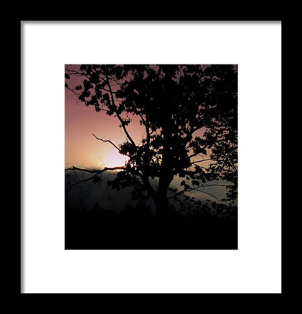 Sunrise Framed Print featuring the photograph Morning Mist by Mim White