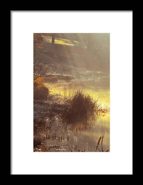 Landscape Framed Print featuring the photograph Morning Misty Rays by Julie Palencia