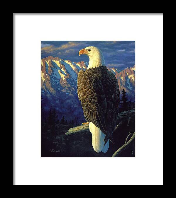 Bird Framed Print featuring the painting Morning Quest by Crista Forest
