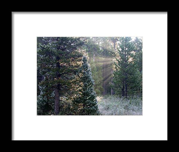 Sunrays Framed Print featuring the photograph Morning Rays by Shane Bechler