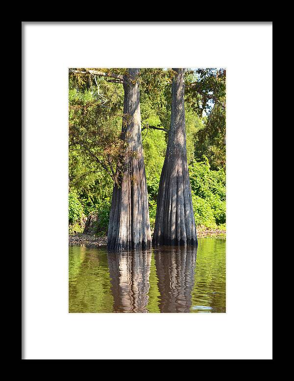 Tree Framed Print featuring the photograph Morning Reflection Southern Louisiana by Maggy Marsh