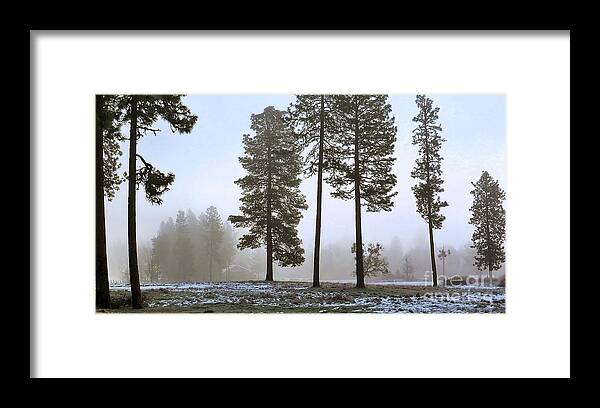 Sunrise Framed Print featuring the photograph Morning Rime by Julia Hassett