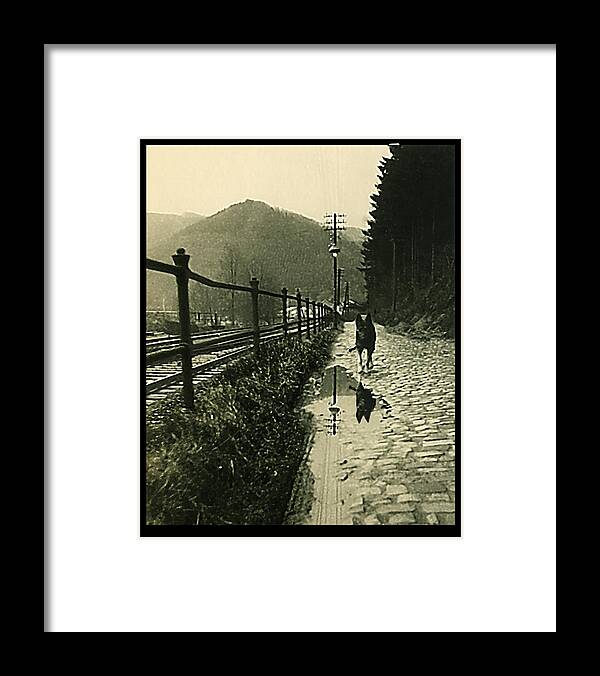 Dog Framed Print featuring the photograph Morning Stroll by Hartmut Jager