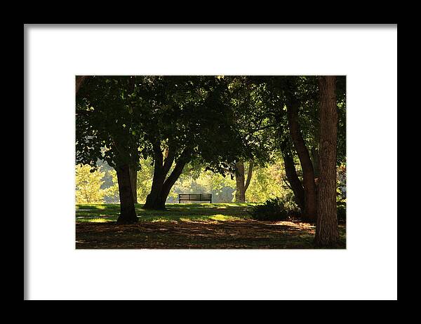 Trees Framed Print featuring the photograph Morning Walk by Ellery Russell