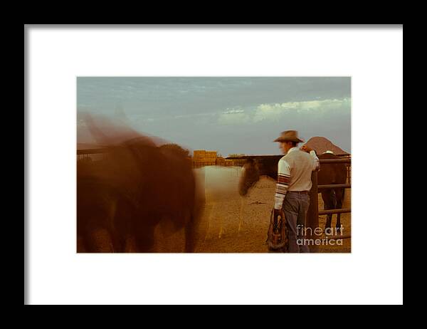 Horses Framed Print featuring the photograph Morning Watch by Patty Descalzi