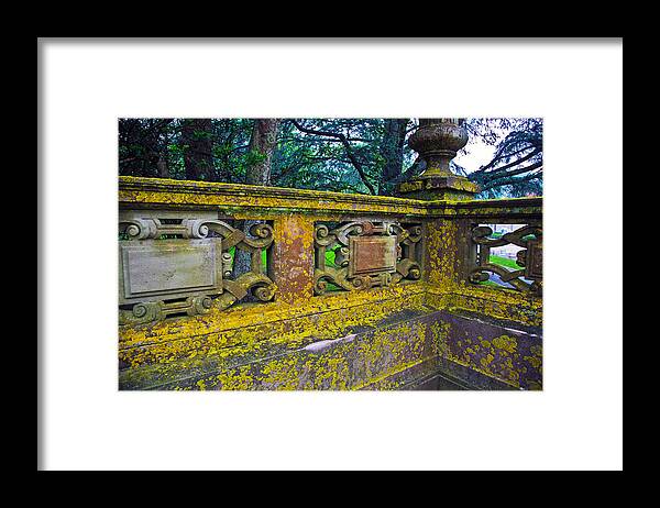 5d Mark Iii Framed Print featuring the photograph Moss by John Hoey