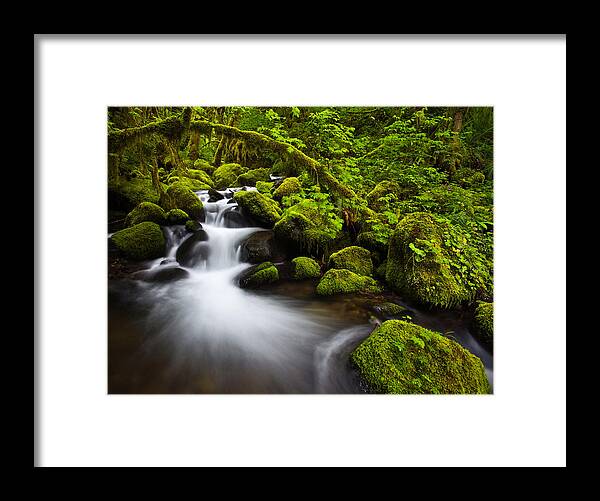 Lush Framed Print featuring the photograph Mossy Arch Cascade by Darren White