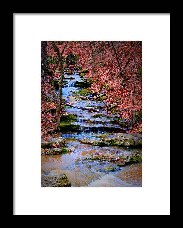 Moss Framed Print featuring the photograph Mossy Creek by Cricket Hackmann