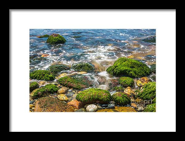 Acadia National Park Framed Print featuring the photograph Mossy Rocks on Hunters Beach in Acadia by Susan Cole Kelly