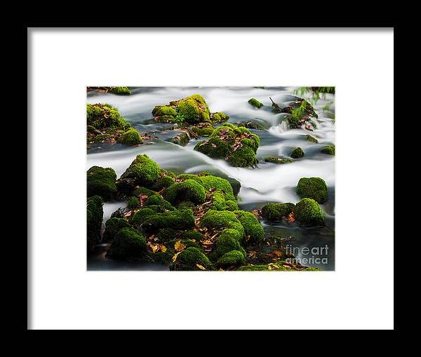 Water Framed Print featuring the photograph Mossy Spring by Shannon Beck-Coatney