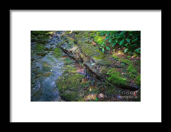 Dingmans Falls Framed Print featuring the photograph Mossy Trail 2 by Michael Ver Sprill