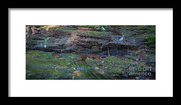 Dingmans Falls Framed Print featuring the photograph Mossy Trail by Michael Ver Sprill