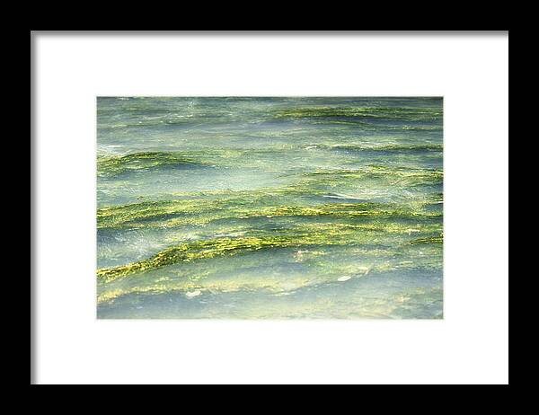 Water Framed Print featuring the photograph Mossy Tranquility by Melanie Lankford Photography