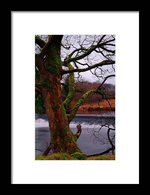 Europe Framed Print featuring the photograph Mossy Tree Leaning Over The Smooth River Wharfe by Dennis Dame